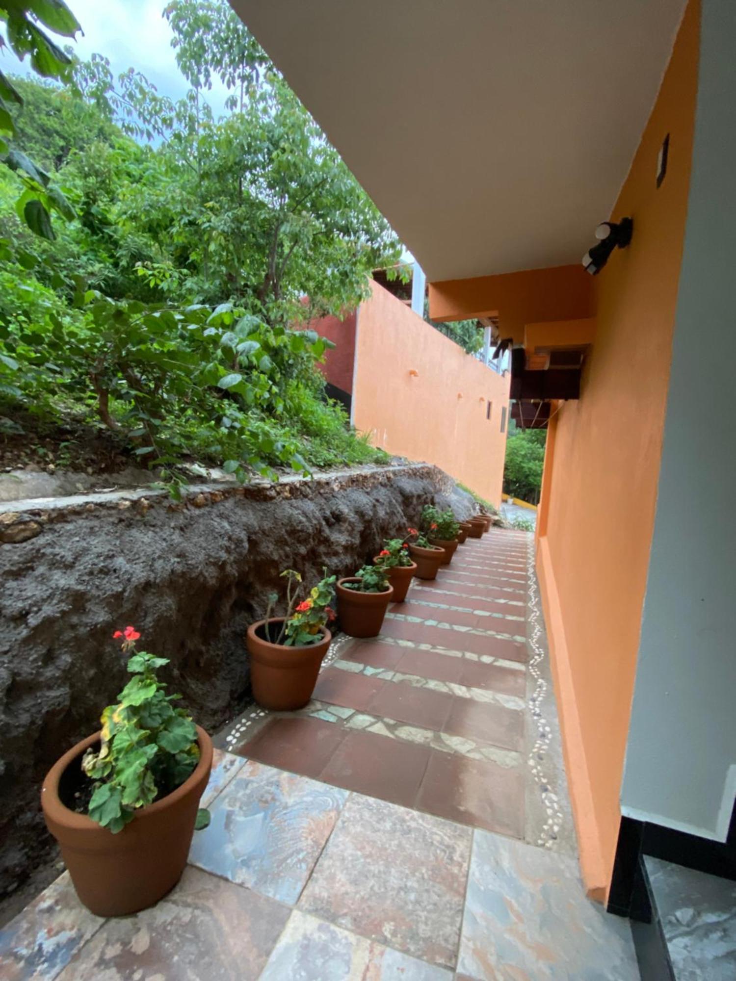 Hospedaje Anturios บาเญเดบราโว ภายนอก รูปภาพ